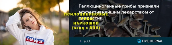 винт Мегион