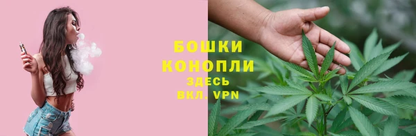 винт Мегион