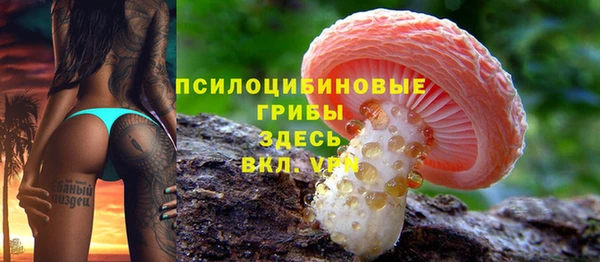 эйфоретик Медногорск