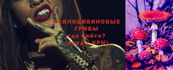 эйфоретик Медногорск
