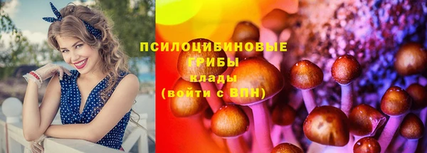 спайс Медвежьегорск