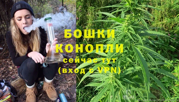 крисы Майский