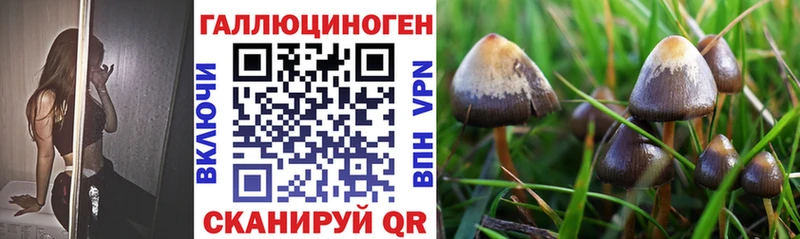 мега ссылка  Людиново  Галлюциногенные грибы GOLDEN TEACHER 