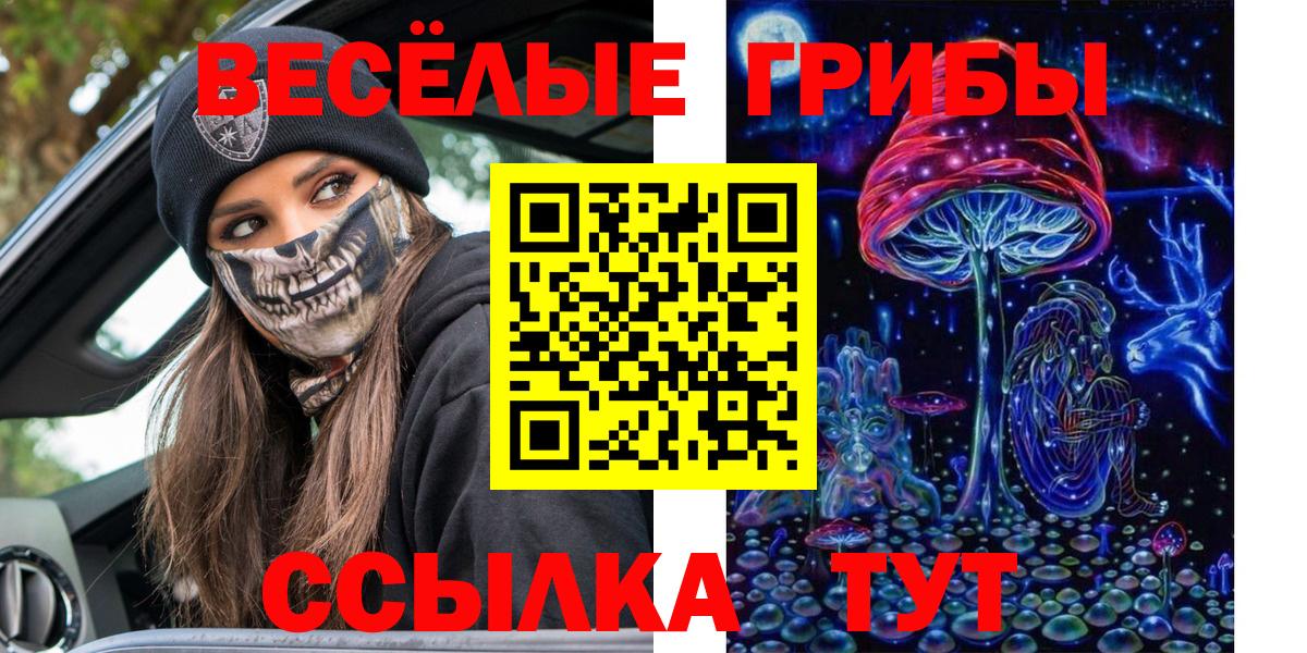 Псилоцибиновые грибы мухоморы Людиново