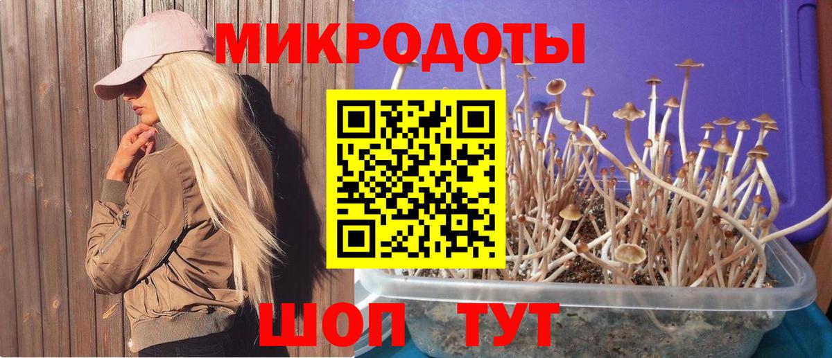 Псилоцибиновые грибы Magic Shrooms  Вход с VPN  Галлюциногенные грибы MAGIC MUSHROOMS  Людиново 